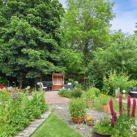 Menschen Meehr Und Wilder Wein