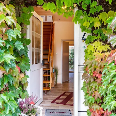 Menschen Meehr Und Wilder Wein Feriehus