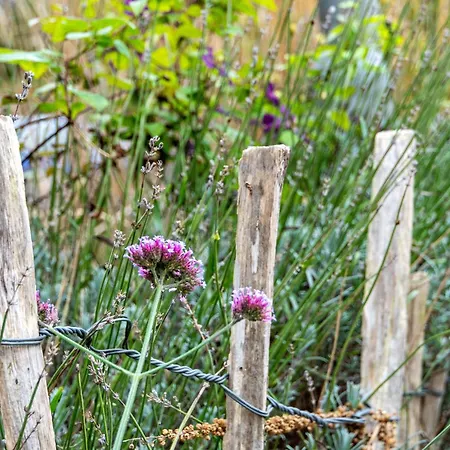 Menschen Meehr Und Wilder Wein Feriehus *