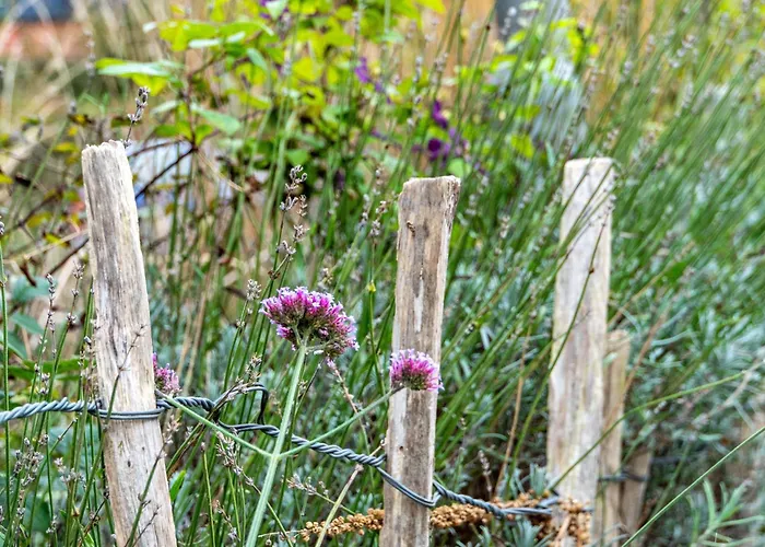 Menschen Meehr Und Wilder Wein Nyaraló *